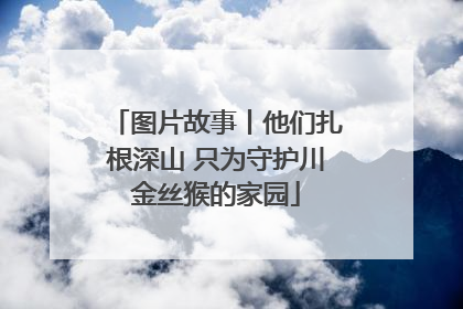 图片故事丨他们扎根深山 只为守护川金丝猴的家园