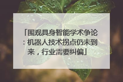 围观具身智能学术争论：机器人技术拐点仍未到来，行业需要纠偏
