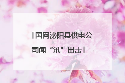 国网泌阳县供电公司闻“汛”出击