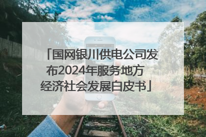 国网银川供电公司发布2024年服务地方经济社会发展白皮书