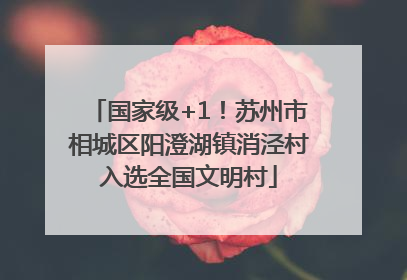 国家级+1！苏州市相城区阳澄湖镇消泾村入选全国文明村
