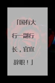 国有大行一副行长，官宣辞职！