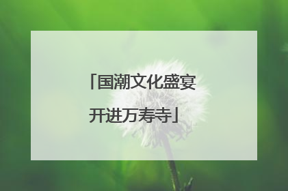 国潮文化盛宴开进万寿寺