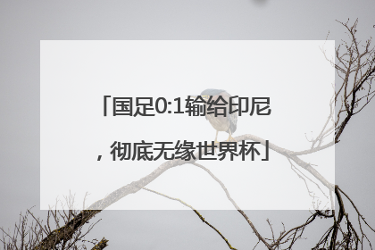 国足0:1输给印尼，彻底无缘世界杯