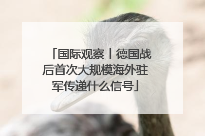 国际观察丨德国战后首次大规模海外驻军传递什么信号