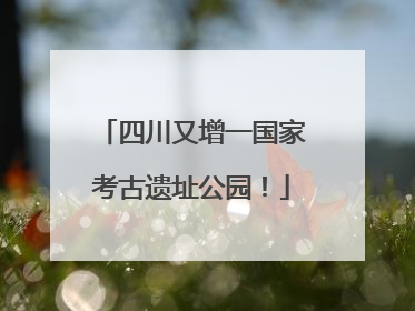 四川又增一国家考古遗址公园！