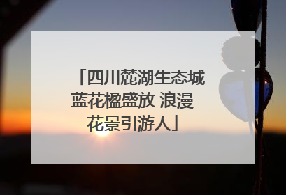 四川麓湖生态城蓝花楹盛放 浪漫花景引游人