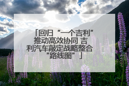 回归“一个吉利” 推动高效协同 吉利汽车敲定战略整合“路线图”