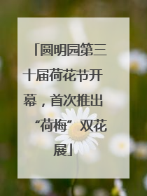 圆明园第三十届荷花节开幕，首次推出“荷梅”双花展