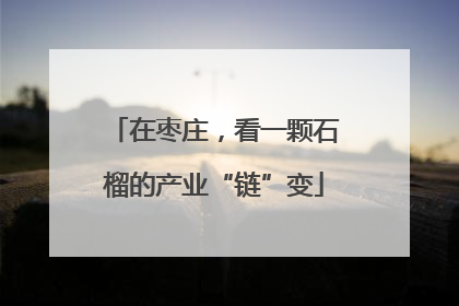 在枣庄，看一颗石榴的产业“链”变