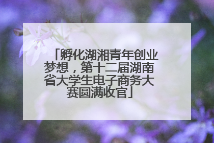 孵化湖湘青年创业梦想，第十二届湖南省大学生电子商务大赛圆满收官
