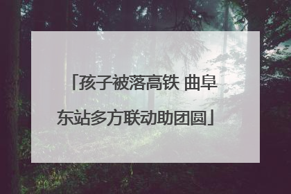 孩子被落高铁 曲阜东站多方联动助团圆