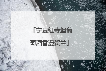宁夏红寺堡葡萄酒香漫贺兰