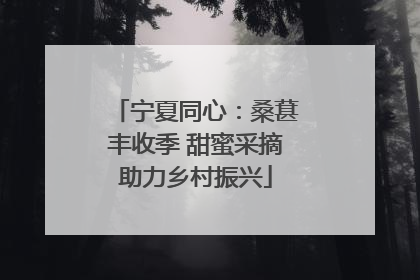 宁夏同心：桑葚丰收季 甜蜜采摘助力乡村振兴