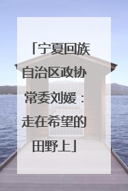 宁夏回族自治区政协常委刘媛：走在希望的田野上