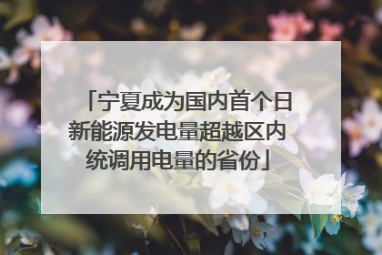 宁夏成为国内首个日新能源发电量超越区内统调用电量的省份