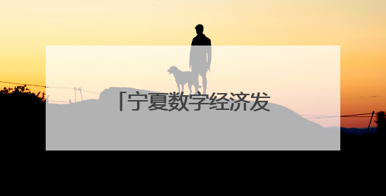 宁夏数字经济发展跑出加速度