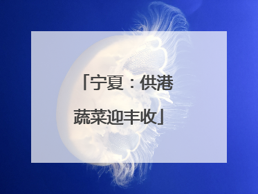 宁夏：供港蔬菜迎丰收