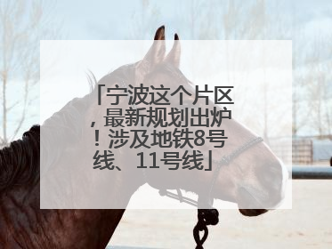 宁波这个片区，最新规划出炉！涉及地铁8号线、11号线