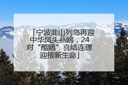 宁波韭山列岛再迎中华凤头燕鸥，24对“酷鸥”喜结连理迎接新生命