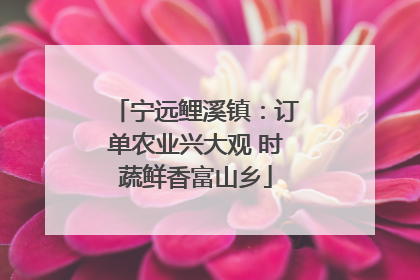 宁远鲤溪镇：订单农业兴大观 时蔬鲜香富山乡