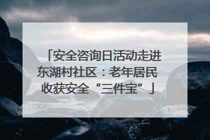 安全咨询日活动走进东湖村社区：老年居民收获安全“三件宝”