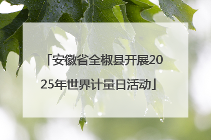 安徽省全椒县开展2025年世界计量日活动