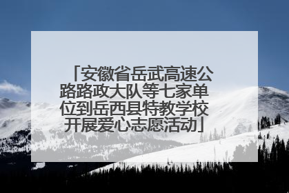 安徽省岳武高速公路路政大队等七家单位到岳西县特教学校开展爱心志愿活动