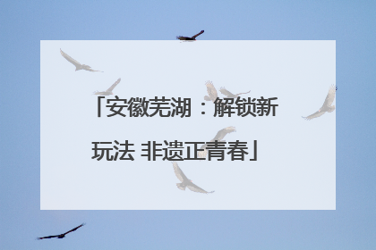 安徽芜湖：解锁新玩法 非遗正青春