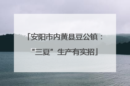 安阳市内黄县豆公镇：“三夏”生产有实招