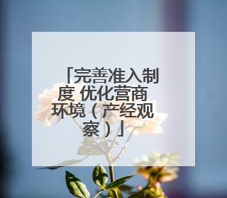 完善准入制度 优化营商环境（产经观察）