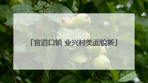 官道口镇 业兴村美面貌新