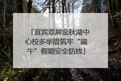 宜宾翠屏金秋湖中心校多举措筑牢“端午”假期安全防线