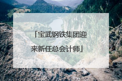 宝武钢铁集团迎来新任总会计师
