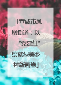 宣威市凤凰街道：以“党建红”绘就绿美乡村新画卷