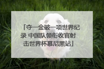 夺一金破一项世界纪录 中国队领衔收官射击世界杯慕尼黑站