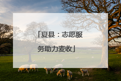夏县：志愿服务助力麦收