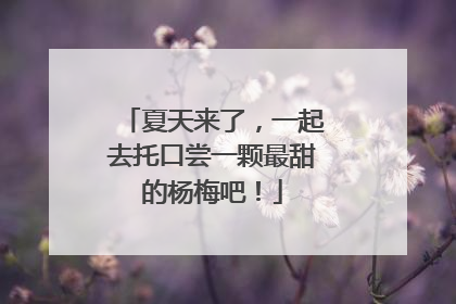 夏天来了，一起去托口尝一颗最甜的杨梅吧！