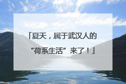 夏天，属于武汉人的“荷系生活”来了！