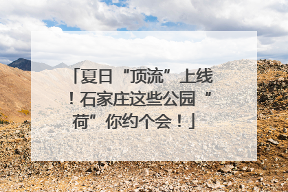 夏日“顶流”上线！石家庄这些公园“荷”你约个会！