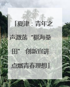 夏津：青年之声激荡“椹海桑田” 创新宣讲点燃青春理想