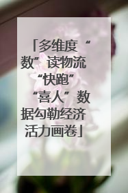 多维度“数”读物流“快跑” “喜人”数据勾勒经济活力画卷