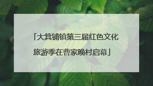 大箕铺镇第三届红色文化旅游季在曹家晚村启幕