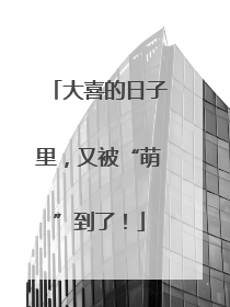 大喜的日子里，又被“萌”到了！