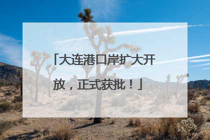 大连港口岸扩大开放，正式获批！