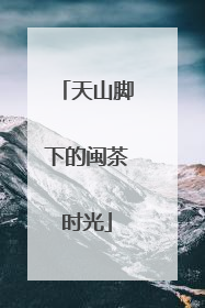 天山脚下的闽茶时光