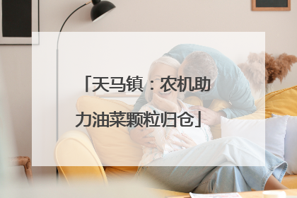 天马镇：农机助力油菜颗粒归仓
