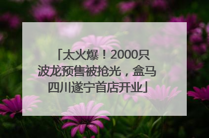 太火爆！2000只波龙预售被抢光，盒马四川遂宁首店开业