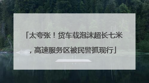 太夸张！货车载泡沫超长七米，高速服务区被民警抓现行