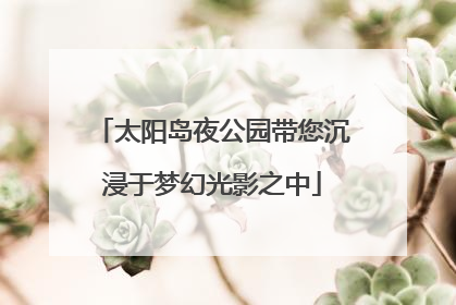 太阳岛夜公园带您沉浸于梦幻光影之中